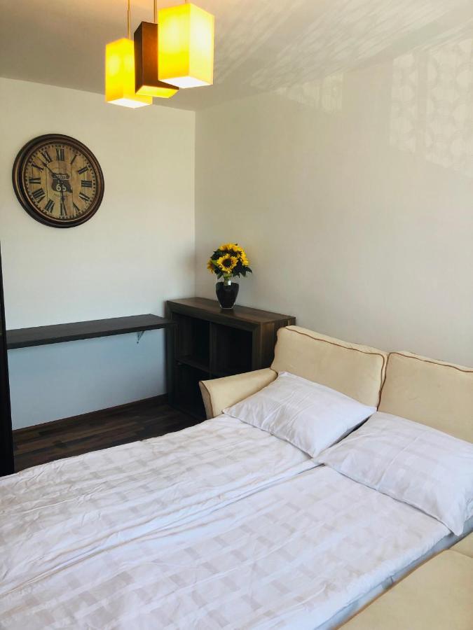 Little Cute Homey Apartman Satu Mare Exterior foto